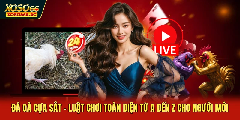 Đá Gà Cựa Sắt - Luật Chơi Toàn Diện Từ A Đến Z Cho Người Mới