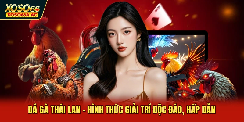 Đá Gà Thái Lan - Hình Thức Giải Trí Độc Đáo, Hấp Dẫn