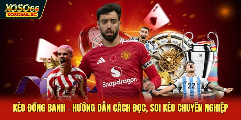 Kèo Đồng Banh - Hướng Dẫn Cách Đọc, Soi Kèo Chuyên Nghiệp