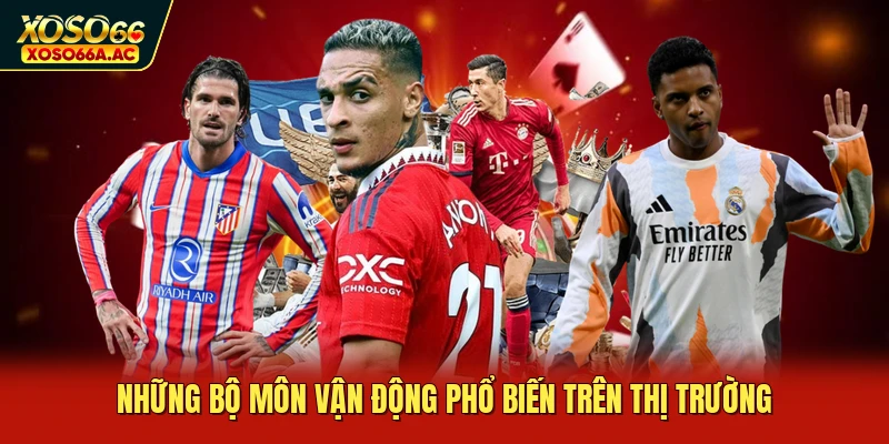Những bộ môn vận động phổ biến trên thị trường