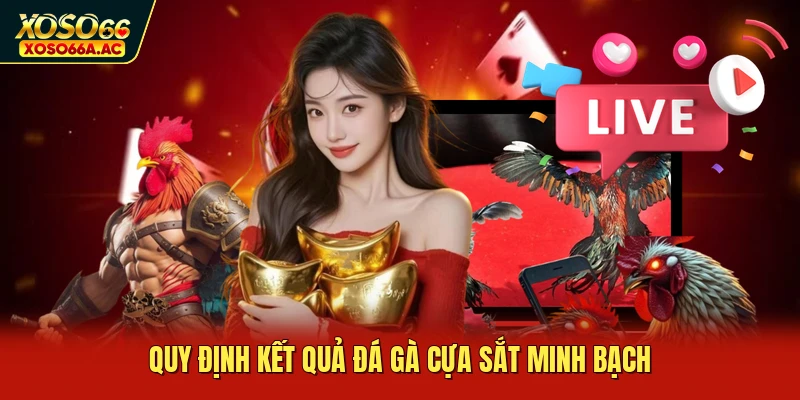 Quy định kết quả đá gà cựa sắt minh bạch