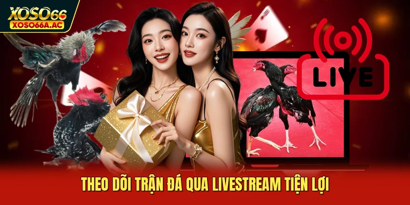 Theo dõi trận đá qua livestream tiện lợi