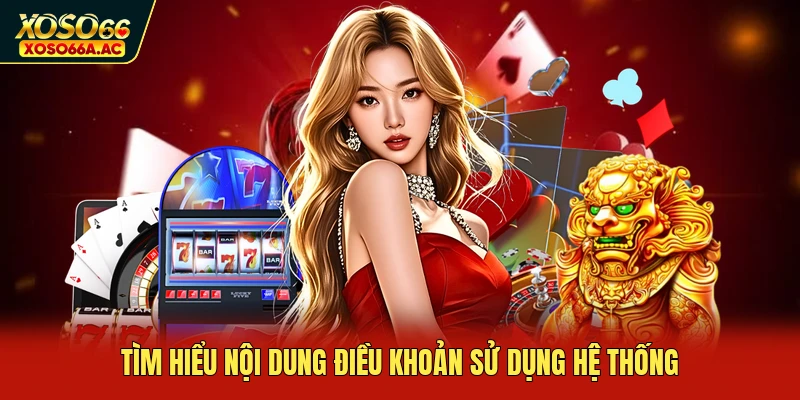 Tìm hiểu nội dung điều khoản sử dụng hệ thống