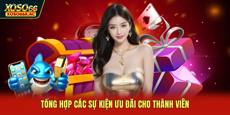 Tổng hợp các sự kiện ưu đãi cho thành viên